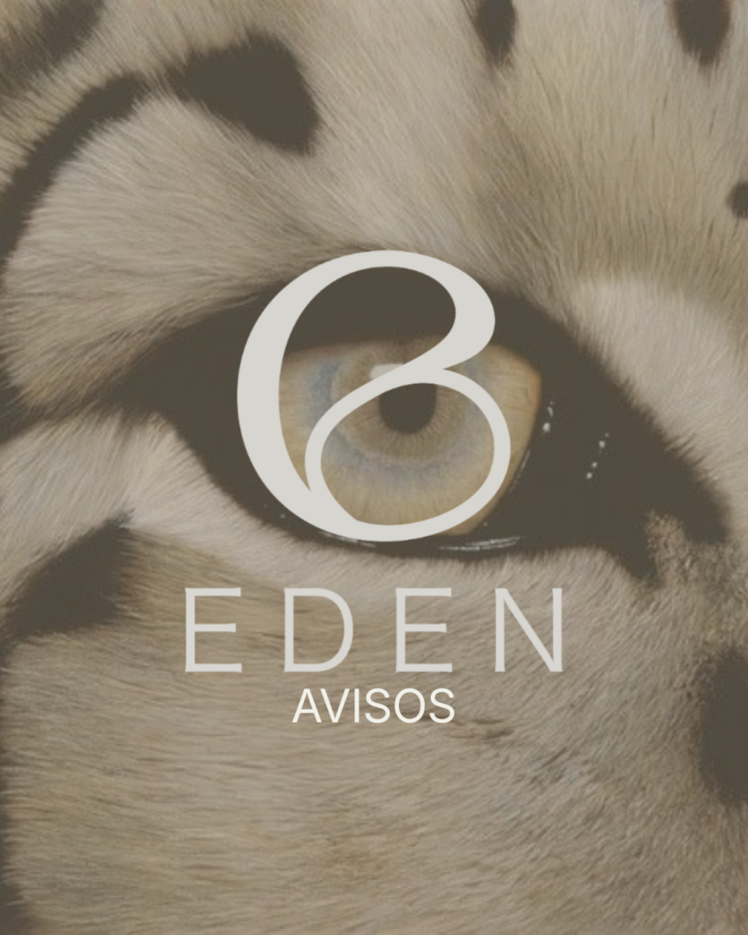 📢 Avisos importantes en Edén